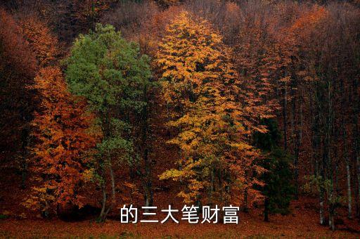 的三大笔财富