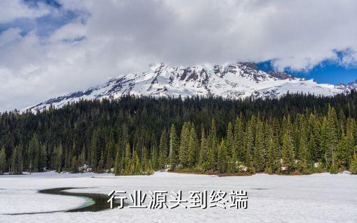 医药行业源头到终端