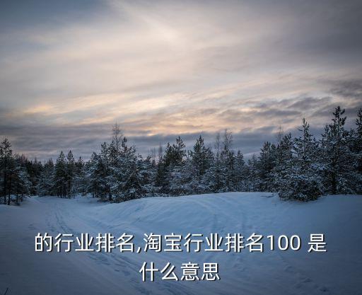 的行业排名,淘宝行业排名100 是什么意思