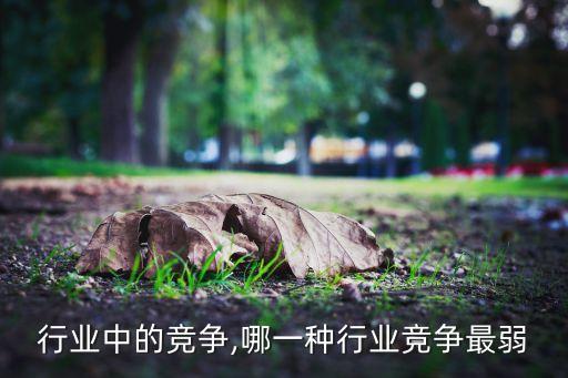 行业中的竞争,哪一种行业竞争最弱