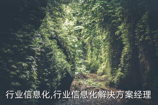 行业信息化,行业信息化解决方案经理