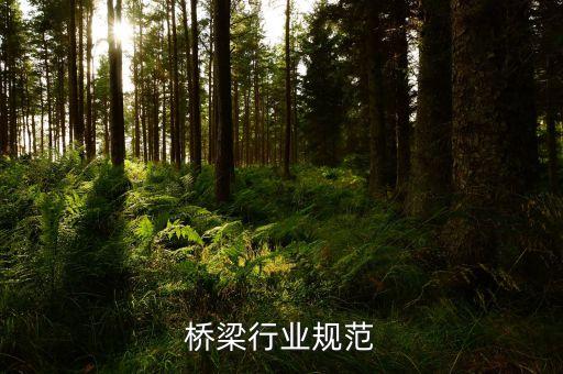 道路桥梁行业规范