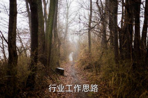 水泥行业工作思路