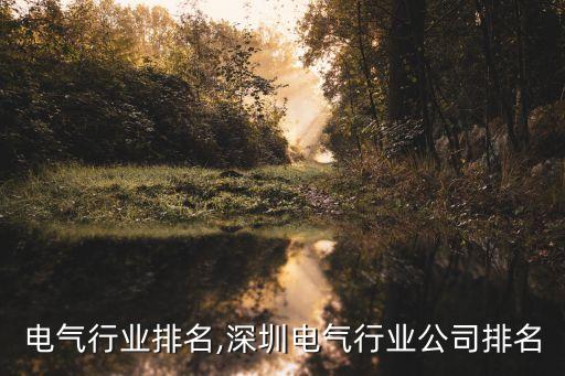电气行业排名,深圳电气行业公司排名