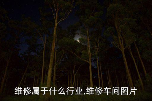 维修属于什么行业,维修车间图片