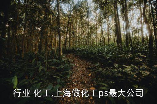 ps行业 化工,上海做化工ps最大公司