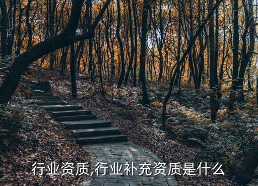 行业资质,行业补充资质是什么