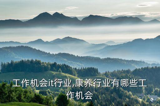 工作机会it行业,康养行业有哪些工作机会