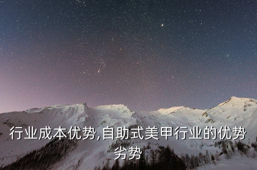 行业成本优势,自助式美甲行业的优势劣势
