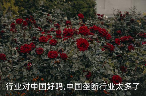 行业对中国好吗,中国垄断行业太多了