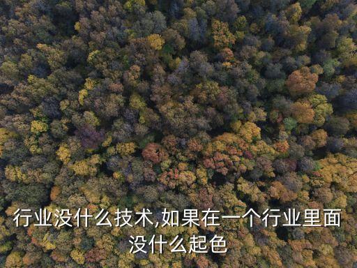 行业没什么技术,如果在一个行业里面没什么起色