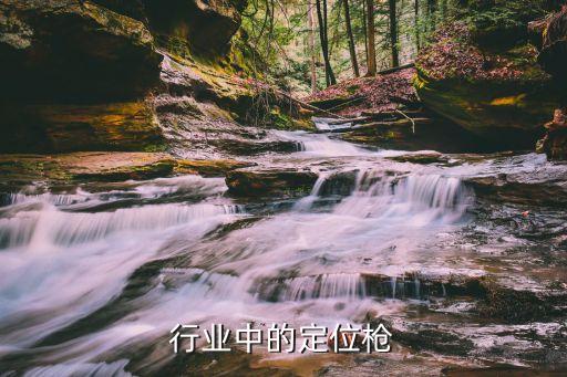 行业中的定位枪