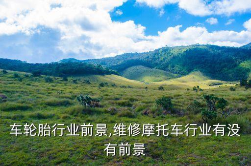 摩托车轮胎行业前景,维修摩托车行业有没有前景