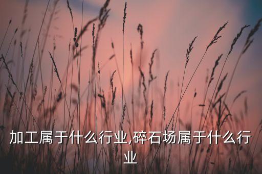加工属于什么行业,碎石场属于什么行业