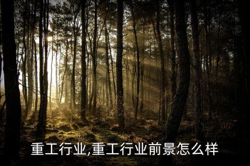 山西重工行业,重工行业前景怎么样