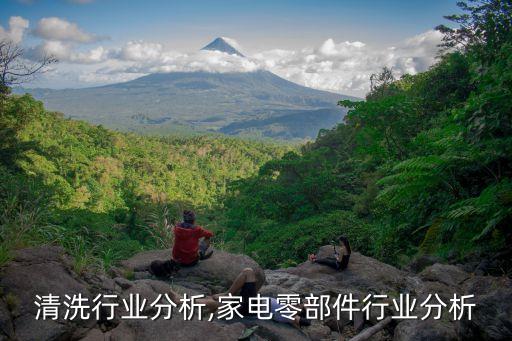 家电清洗行业分析,家电零部件行业分析