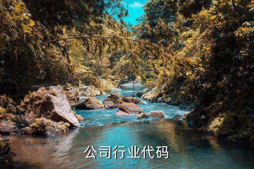 公司行业代码