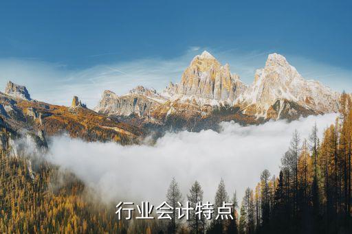 钢铁行业会计特点...