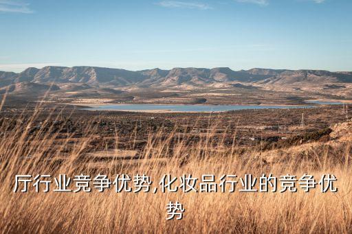 厅行业竞争优势,化妆品行业的竞争优势
