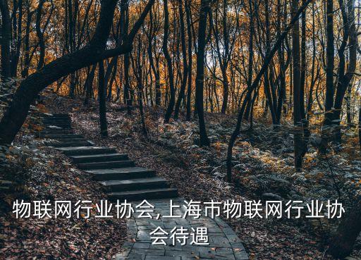 新疆物联网行业协会,上海市物联网行业协会待遇