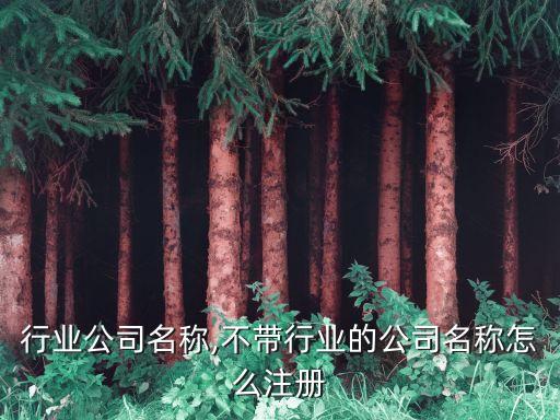 信息行业公司名称,不带行业的公司名称怎么注册