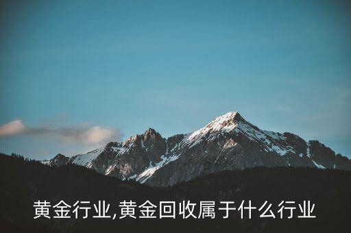 未来黄金行业,黄金回收属于什么行业