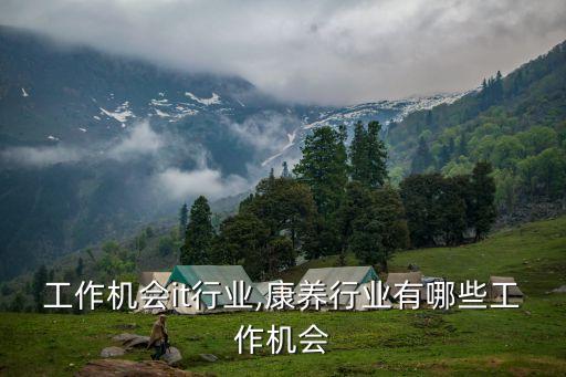 工作机会it行业,康养行业有哪些工作机会