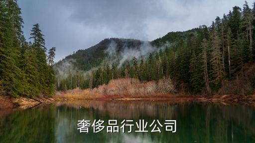 奢侈品行业公司