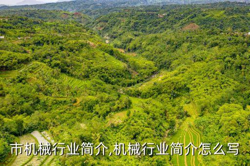 市机械行业简介,机械行业简介怎么写
