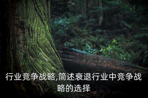 行业竞争战略,简述衰退行业中竞争战略的选择