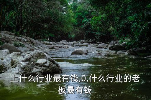上什么行业最有钱,0,什么行业的老板最有钱