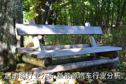 启动器行业分析,新能源汽车行业分析