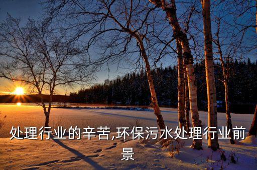 处理行业的辛苦,环保污水处理行业前景