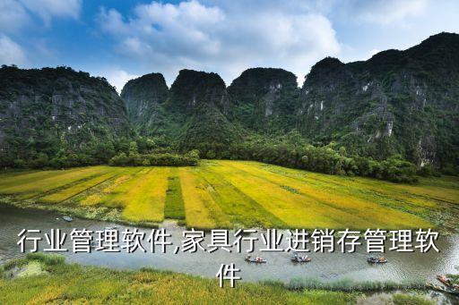 行业管理软件,家具行业进销存管理软件