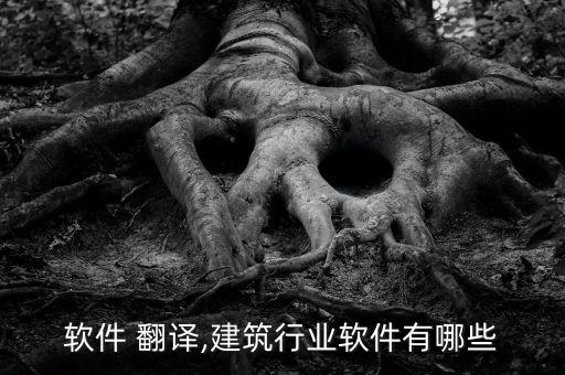 行业软件 翻译,建筑行业软件有哪些