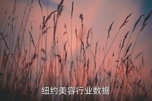 纽约美容行业数据
