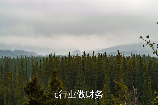 P2c行业做财务