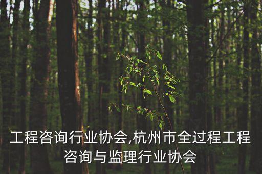 浙江工程咨询行业协会,杭州市全过程工程咨询与监理行业协会