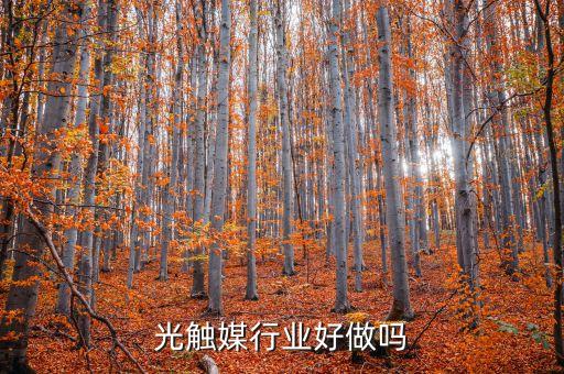 中国光触媒行业好做吗