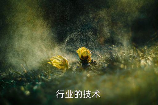 行业的技术