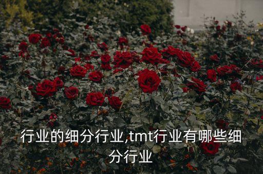 锅炉行业的细分行业,tmt行业有哪些细分行业