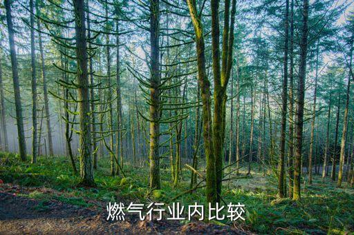 中国燃气行业内比较