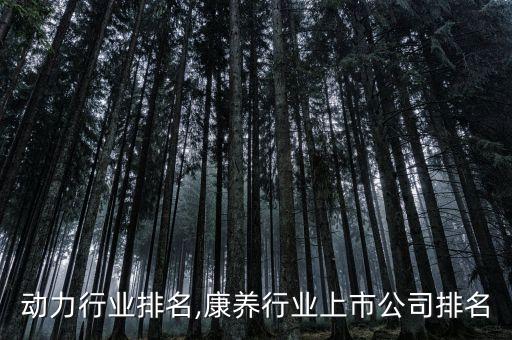 合康动力行业排名,康养行业上市公司排名