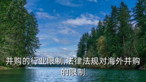 海外并购的行业限制,法律法规对海外并购的限制
