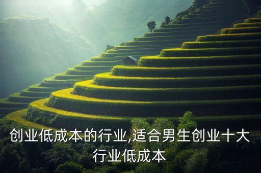 目前创业低成本的行业,适合男生创业十大行业低成本