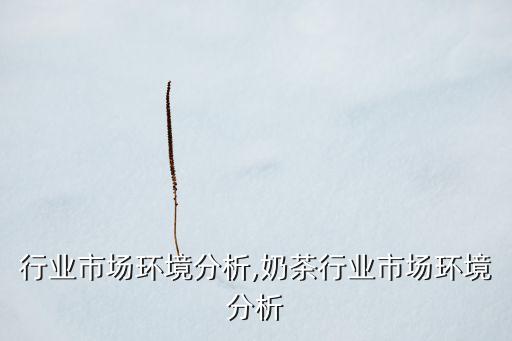 全息行业市场环境分析,奶茶行业市场环境分析