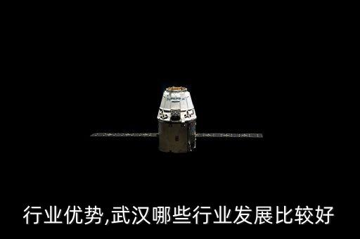 行业优势,武汉哪些行业发展比较好