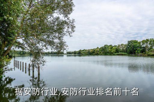 大数据安防行业,安防行业排名前十名