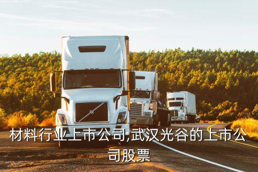 材料行业上市公司,武汉光谷的上市公司股票