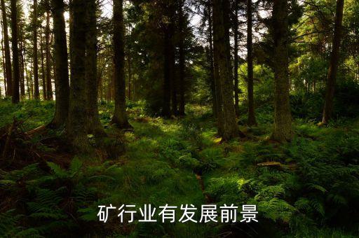 矿行业有发展前景